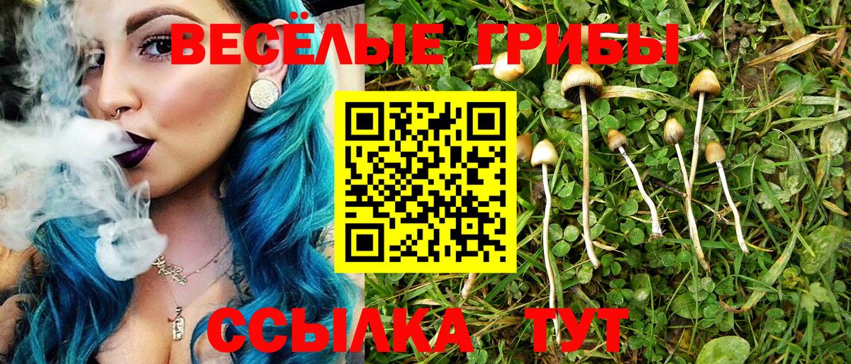 Псилоцибиновые грибы Magic Shrooms Усолье-Сибирское