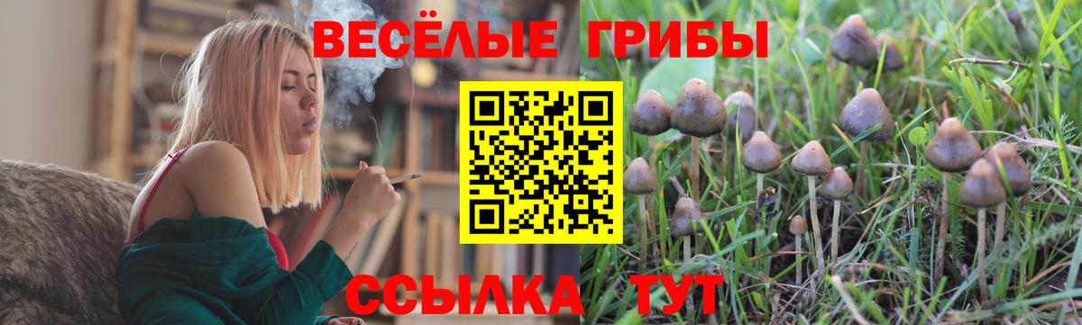 Галлюциногенные грибы GOLDEN TEACHER  Вход с VPN  Усолье-Сибирское  Псилоцибиновые грибы мухоморы 